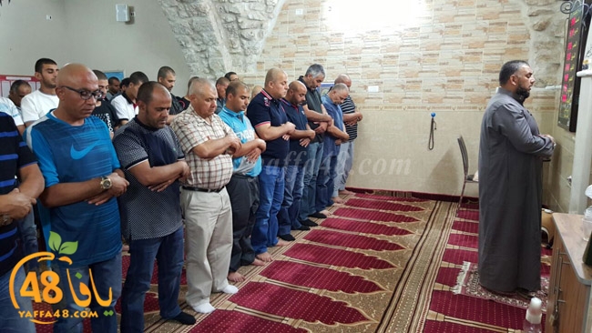 7ozaifa yaman (1).jpg